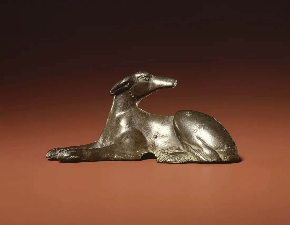A Greyhound